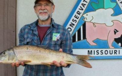 “World Record” Redhorse Sucker Turns Out to Be Something Different Altogether