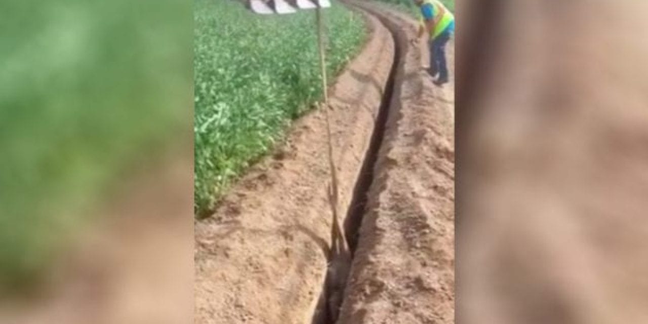 You’re Not Ready for What These Guys Just Rescued From This Trench