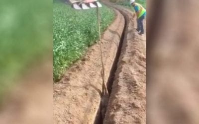 You’re Not Ready for What These Guys Just Rescued From This Trench