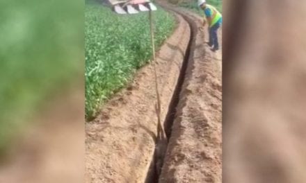 You’re Not Ready for What These Guys Just Rescued From This Trench