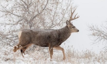 10 Things on Our Hypothetical Hunting Holiday Wish List