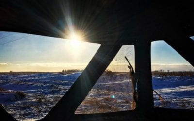 3 Late Season Hunting Tactics to Fill Those Remaining Tags