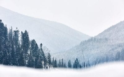 4 Awesome Heaters and 1 Sweet Fireplace to Get You Through the Winter