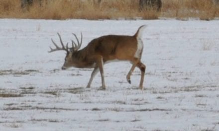 4 Ways to Stay Motivated for Late-Season Deer Hunting This Year