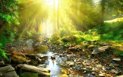 40 Little-Known National Holidays All Outdoorsmen Should Observe