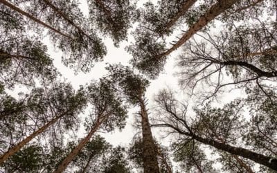 5 Outdoor Gifts to You’re Going to Want to Keep for Yourself