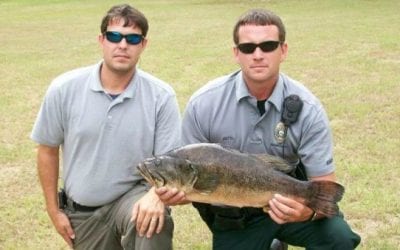5 Times Tournament Anglers Got Busted for Cheating