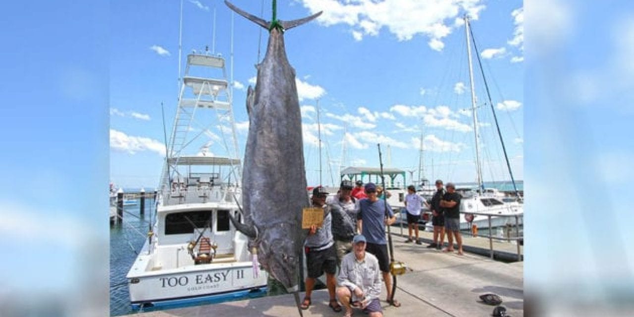Australian Angler Barely Misses World Record With 1,431-Pound Black Marlin