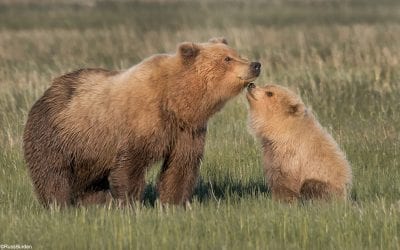 Beyond The Basic Portrait