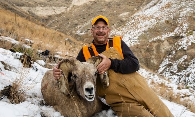 Bighorn sheep hunt is big gift for Auburn man
