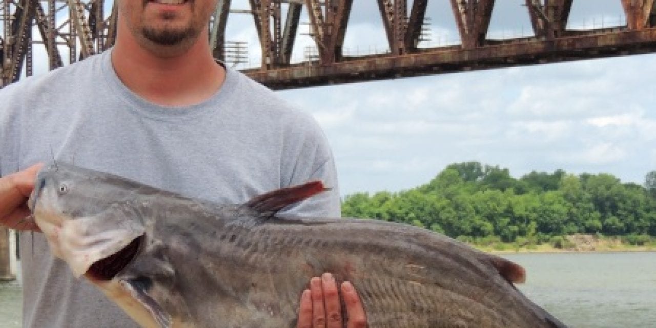 CatfishNOW – Beware the whiskered giants that lurk beneath the water