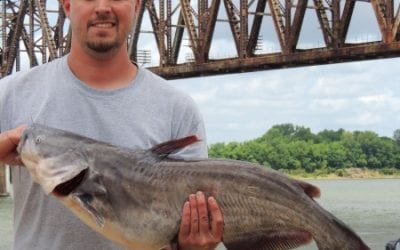 CatfishNOW – Beware the whiskered giants that lurk beneath the water