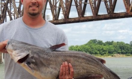 CatfishNOW – Beware the whiskered giants that lurk beneath the water