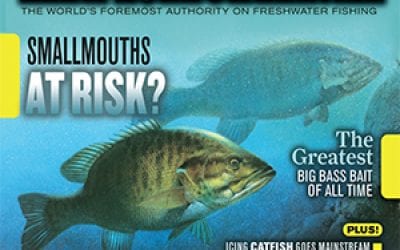 Channel Cats Through the Ice