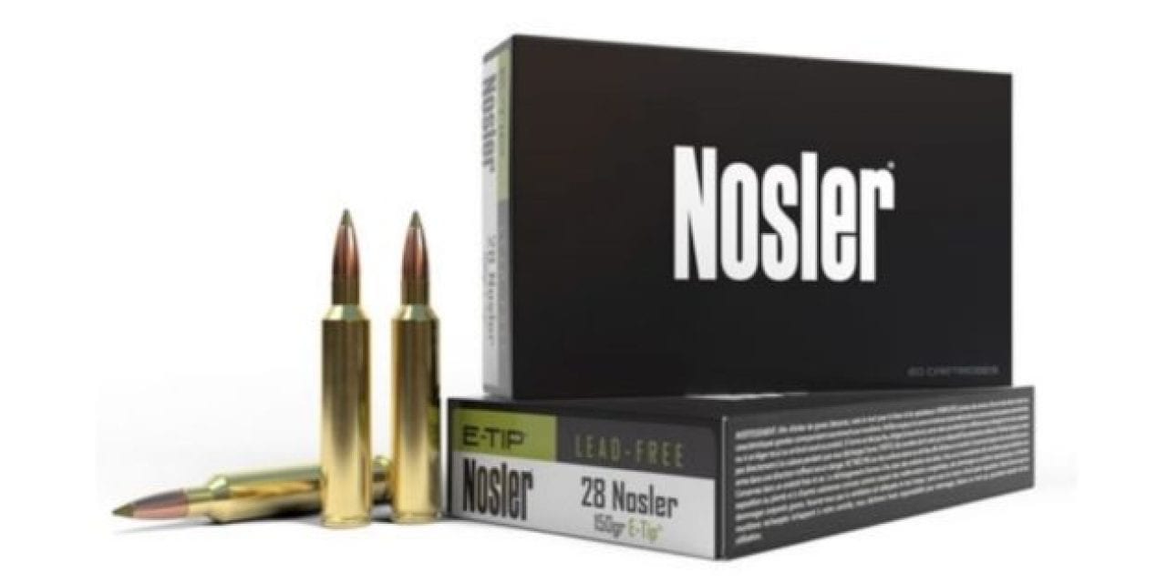 Everything You Need to Know About Nosler E-Tip Ammunition