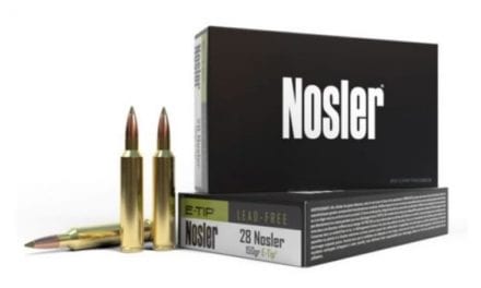 Everything You Need to Know About Nosler E-Tip Ammunition