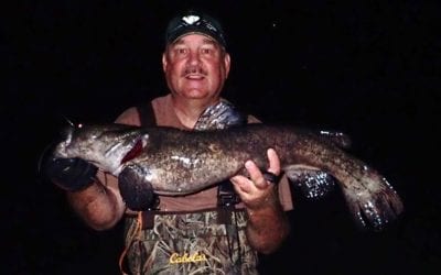 Fall in Review, 2018