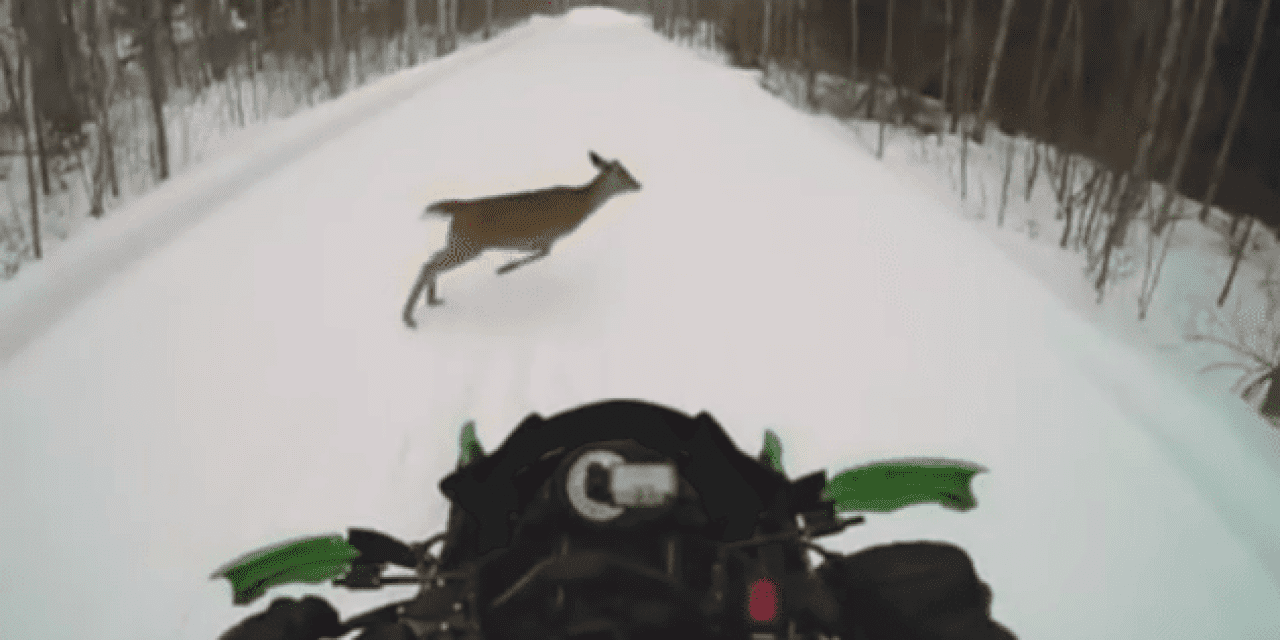 GRAPHIC: Absolutely Brutal Snowmobile vs. Deer Collision