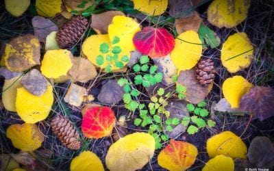 Groundscapes Assignment Winner Beth Young