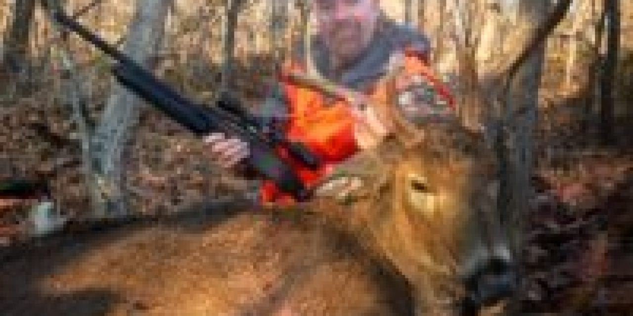 How to Deer Hunt on Public Land