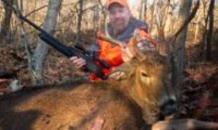 How to Deer Hunt on Public Land
