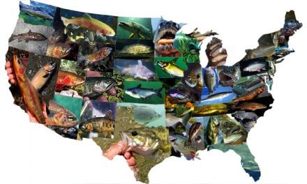 Interactive Map: America’s State Fish