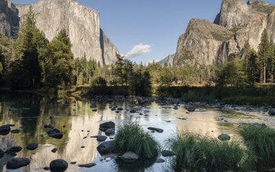 iPhone XS Max For Nature Photography