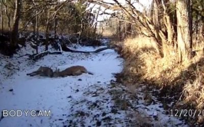 Kansas Game Warden Frees Two Locked Bucks with His Glock