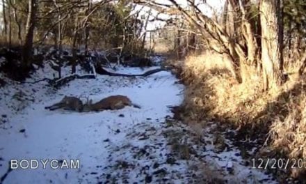 Kansas Game Warden Frees Two Locked Bucks with His Glock