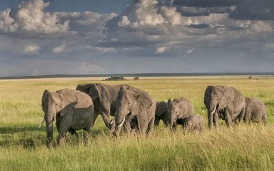 Make The Mutiny Bountiful