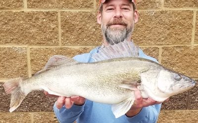New Alternative Gear Walleye Record for Missouri
