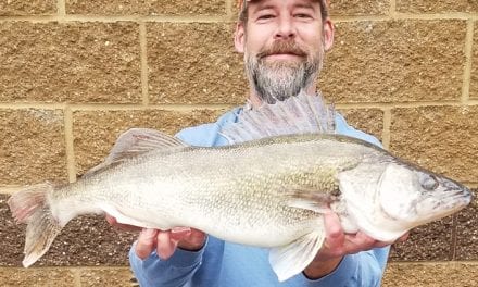 New Alternative Gear Walleye Record for Missouri