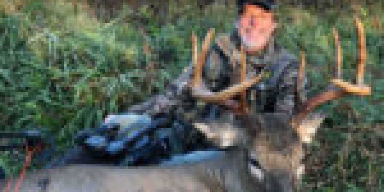 Nugent: The Mystical Fog Buck 