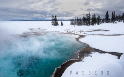 Photo Of The Day By Donna Passero