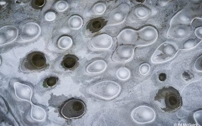 Photo Of The Day By Ed McGuirk