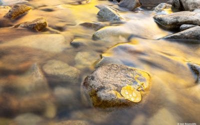 Photo Of The Day By Jon Reynolds