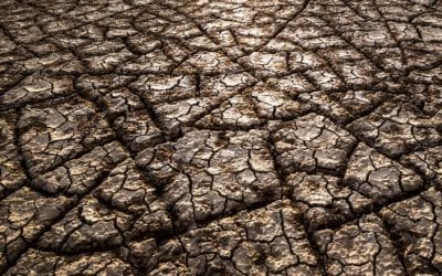 Photo Of The Day By Kelsey Underhill