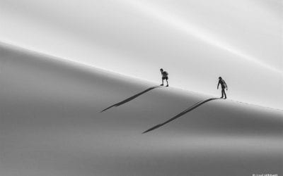 Photo Of The Day By Lori Hibbett