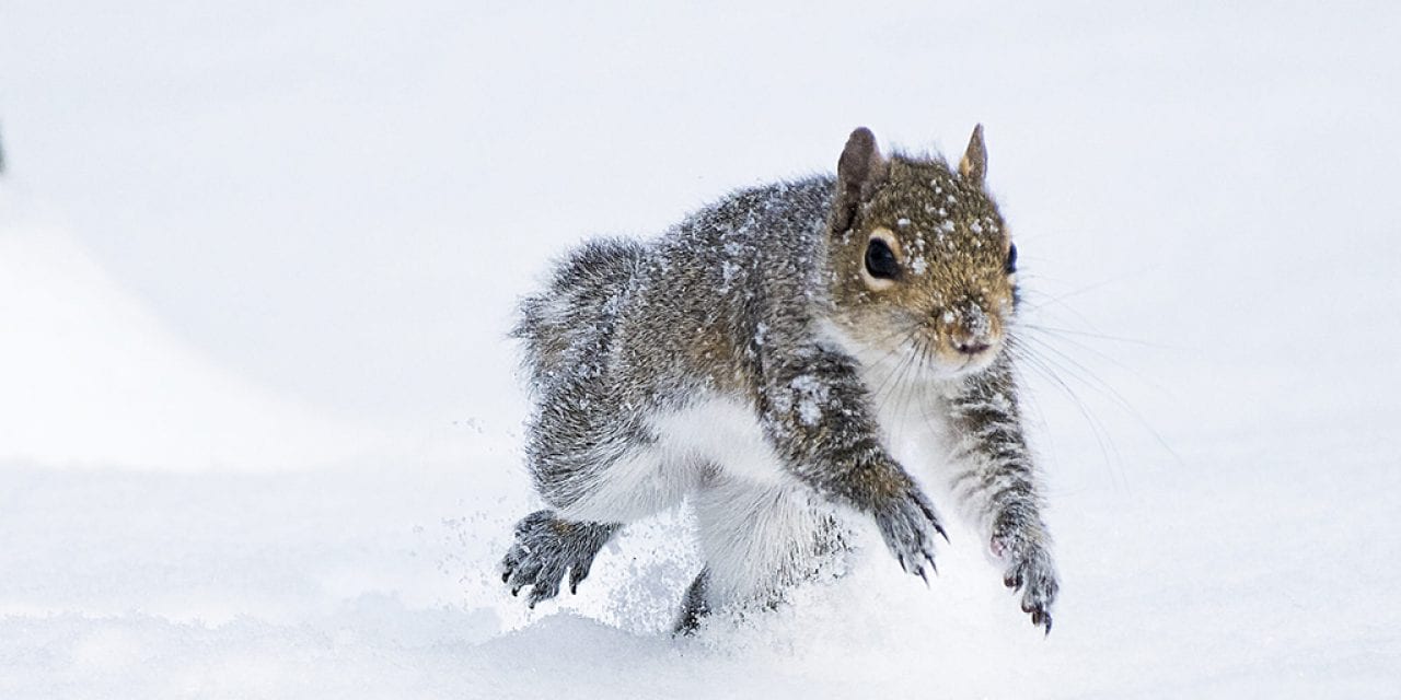 Photo Of The Day By Sandra Rust