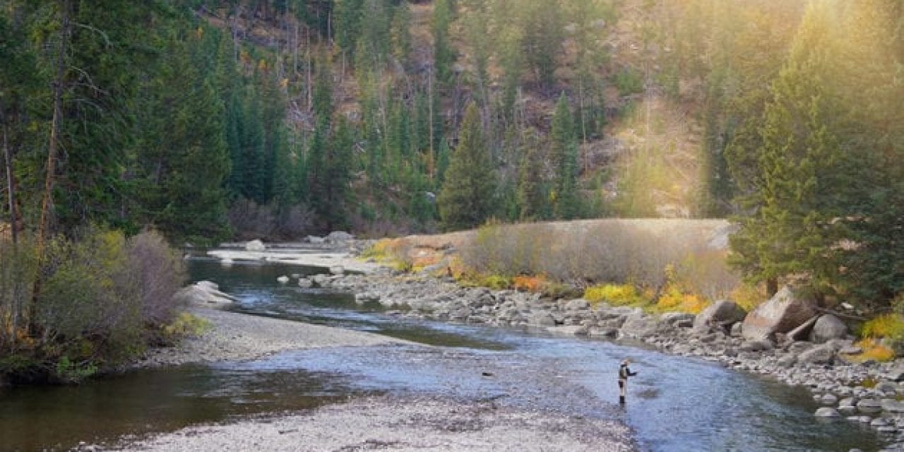 The 5 Best Fly Fishing Books According to Amazon Reviews