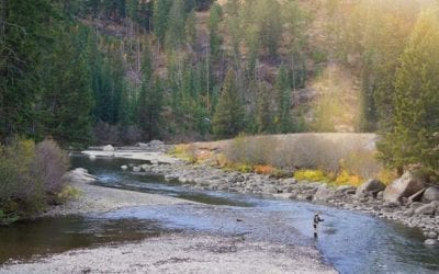 The 5 Best Fly Fishing Books According to Amazon Reviews