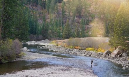 The 5 Best Fly Fishing Books According to Amazon Reviews