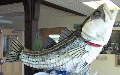 Turning the Tide on Trash