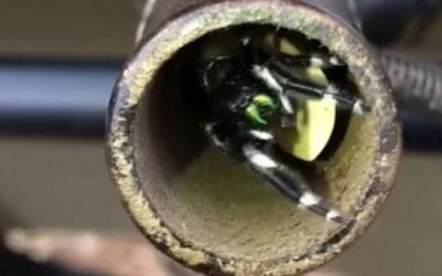 Video: This Will Make You Check Every Call You Own Before Using It Again