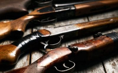 With These 4 Guns, You Can Hunt Anything on the Planet