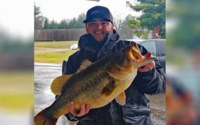 14-Pound Florida-Strain Bass Caught in Tennessee Just Misses State Record