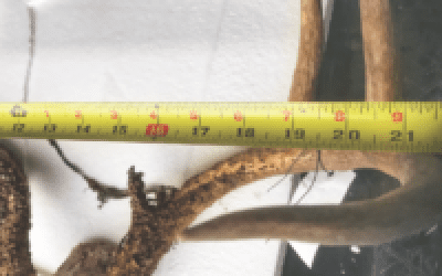 2019 Resolution: Dump Anti-Social Media Trolls