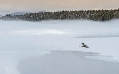 Acquire Accurate Exposure