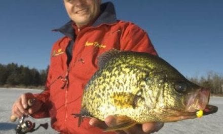 Bobber or Tightline for Winter Panfish