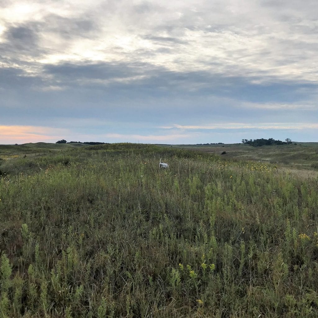 Bucket List Hunts In Nebraska Outdoor Enthusiast Lifestyle Magazine